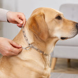Stainless Steel Heavy Duty Dog Chain Leash For Tying And Walking Pets (67 Inch)